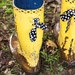hamme zogge 2013 2014-0436