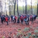 2013-11-15 Meerbeke 34