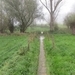 2013-11-16 Heldergem 01