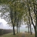 2013-11-16 Heldergem 03