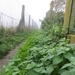 2013-11-16 Heldergem 05