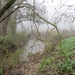 2013-11-16 Heldergem 06