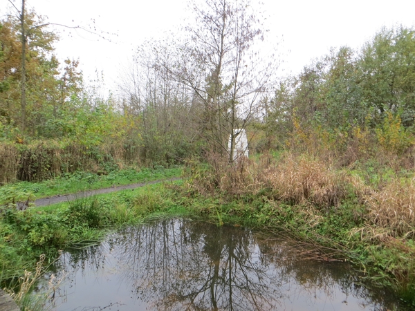 2013-11-17 Denderleeuw 05