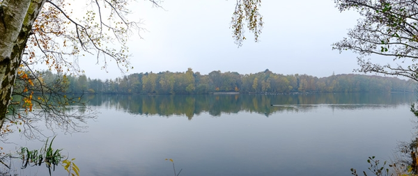 20131117_1407_DSCF8826