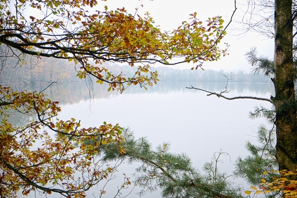 20131117_1421_DSCF8843_v1