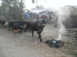 2013 - nepal 068