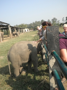 2013 - nepal 087