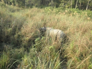 2013 - nepal 101