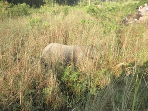 2013 - nepal 102