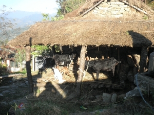 2013 - nepal 135