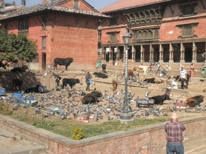 2013 - nepal 174