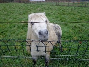 Deze keer een landelijke wandeling