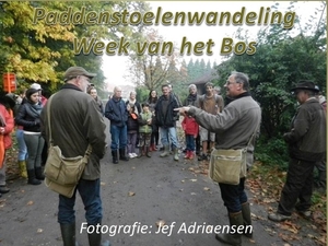 2013-10-20 Week van het Bos 01