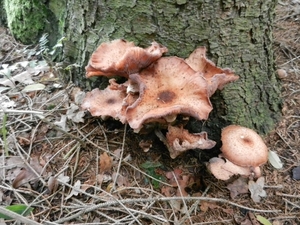 DSCN4576
