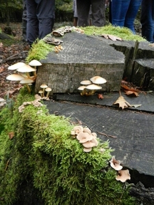 DSCN4591