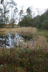 zwerfvuilactie 26 oktober 2013 240