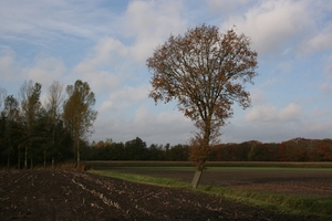 zwerfvuilactie 26 oktober 2013 246