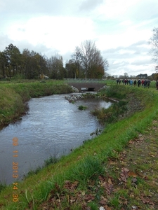 DSCN0509