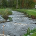 DSCN0512