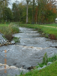 DSCN0512