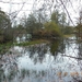 DSCN0513
