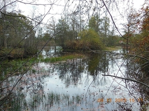 DSCN0513