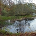 DSCN0514