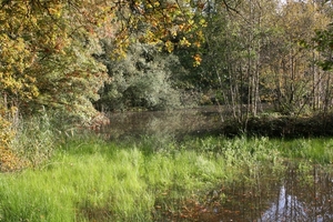 breeven kasterlee 19103013 040