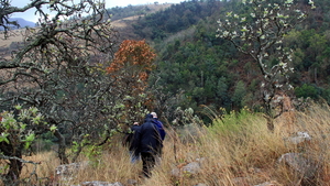 OP WEG NAAR DE VOET VAN DE WATERVAL (4)