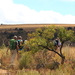 EN NU OP WEG NAAR DE CANYONKLOOF