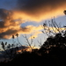 ROZE KLEUREN DE WOLKEN IN DE AVONDLIJKE HEMEL