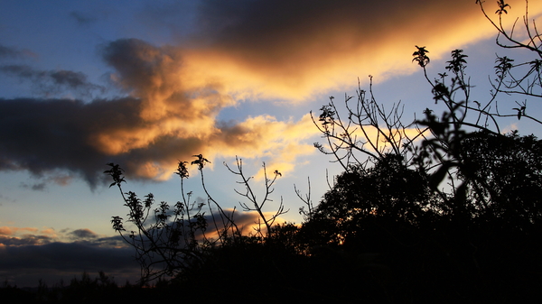 ROZE KLEUREN DE WOLKEN IN DE AVONDLIJKE HEMEL