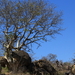 LANDSCHAP IN KRUGERPARK