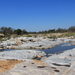 LANDSCHAP IN HET KRUGERPARK