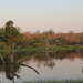 MEERTJE IN DE AVONDZON (3)