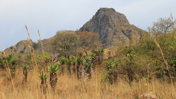 LANDSCHAP IN MLILWANE