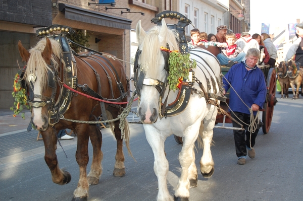 hoppestoet 2008 132