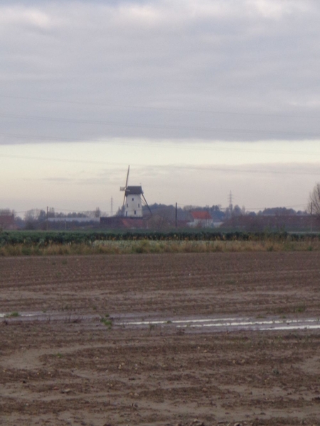 In de verte Molen De Grote Macht in het naburige Moorsele