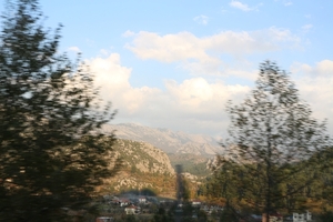 IMG_4216