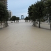 De Panne 2013 054