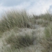 De Panne 2013 152