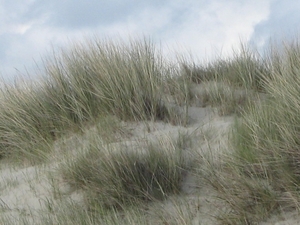 De Panne 2013 152