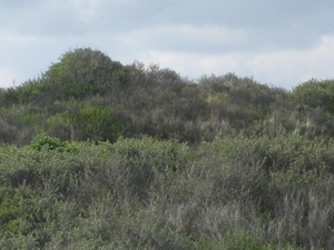 De Panne 2013 151