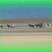 De Panne Herfst 2013 061