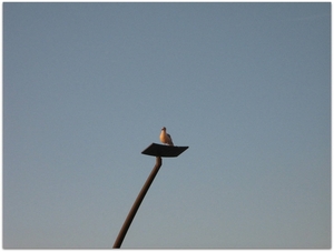De Panne Herfst 2013 080