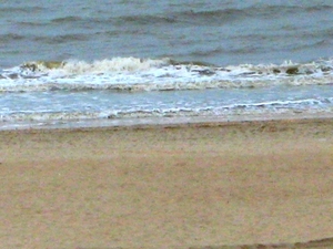 De Panne  Herfst 088