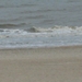 De Panne  Herfst 090