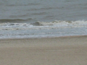 De Panne  Herfst 090