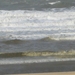 De Panne  Herfst 113