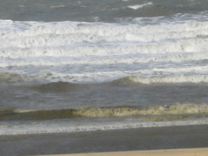 De Panne  Herfst 113
